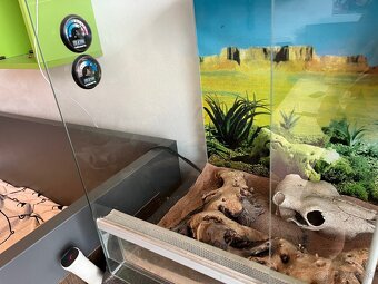 Terarium - 5