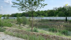 HALO reality - Predaj, pozemok pre rodinný dom   4093m2 Veľk - 5