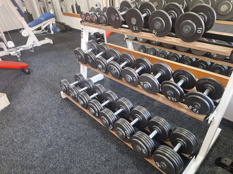 Pevné profi jednoruční činky 2,5 - 100kg - 5