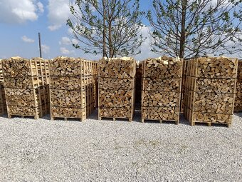 Palivove drevo DUB BUK 1,8m SC - 5