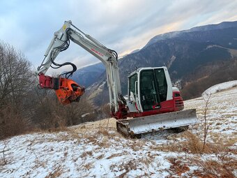 Ponúkam strihanie náletovych drevín - 5