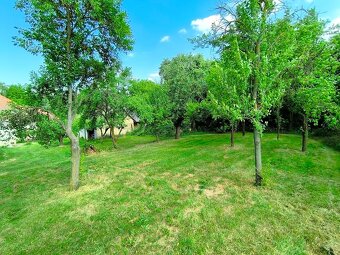 Na predaj RD s obrovským pozemkom v obci Dedinka (okres NZ) - 5