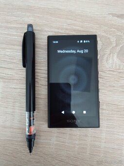 Sony Walkman NW-A306 - 5