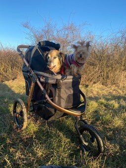 Kočík pre psa do 23 kg PetBuggy - 5