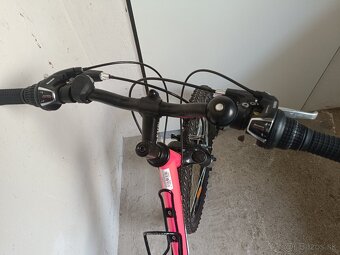 CTM WILLY 2.0 dievčenský - 5