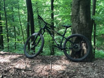 Predam CTM Zephyr Xpert L 29" - perleťovo zelený - 5
