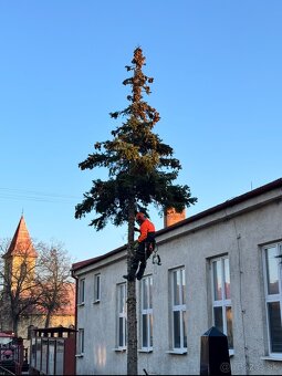 Záhradnícke služby - 5