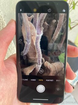 iPhone X 256Gb - 5