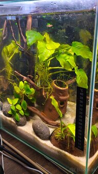 Akváriový set AQUAEL SHRIMP Day & Night 30 čierne (30 l) - 5