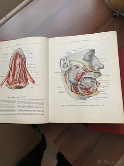 Atlas - Anatomia cloveka 2,3 - 5