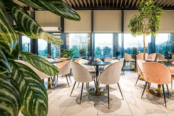 Postúpenie prevádzky – Sweetbox Caffé, Nitra - 5