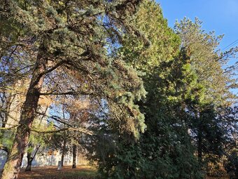 Dva a pol izbový byt v okrajovej časti Lučenca - 5