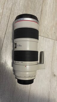 Canon 70-200 - 5