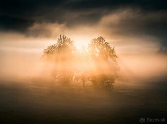 NIKON D5100 - 5