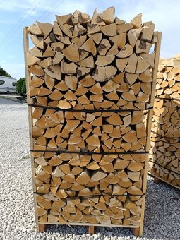 Palivove drevo DUB BUK 1,8m - 5