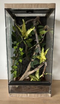 Zariadené terárium 30x30x50 a 30x30x60 - 5