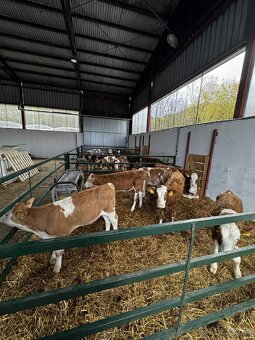 Texas panely,brany pre dobytok - 5