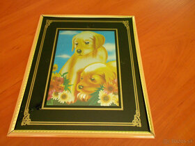 Predám pokladničku ,puzzle,obrázok psík,plyšového medveďa - 5