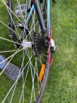 Kellys Clea 70 - 5