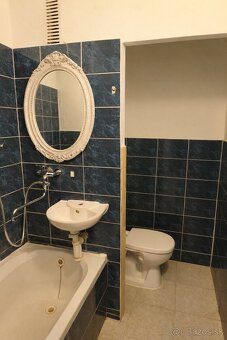 1 izbový byt na prenájom - 5