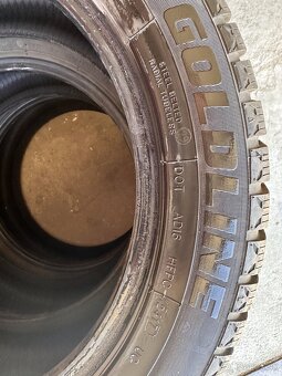 GOLDLINE Winter GLW1 225/50 R17 98H - 5