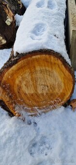 Čerešňove drevo - 5