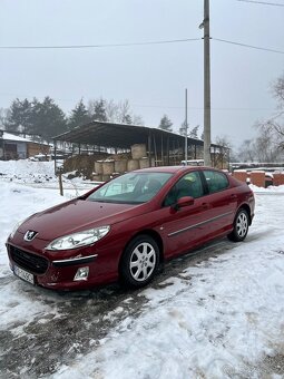 Peugeot 406 - 5