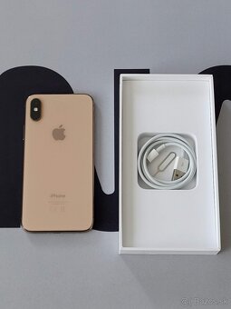 iPhone Xs 64GB gold - 5