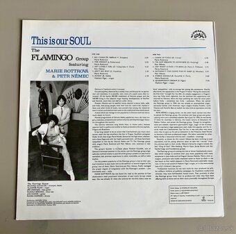LP The Flamingo Group - This Is Our Soul - 5