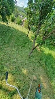 Kosenie záhrad, strihanie živých plotov... - 5