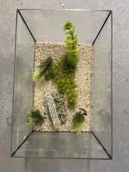 Akvárium - 5