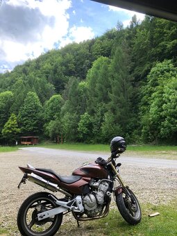 Honda Hornet 600 - 5