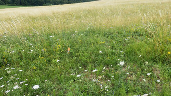 Exkluzívne na predaj – stavebný pozemok v Blatnici - 5