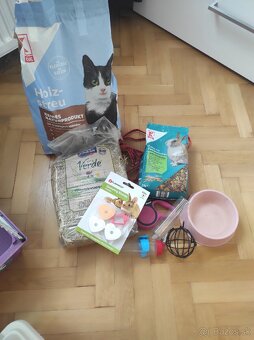Predam prislusenstvo ku kralikovi, zajacovi - 5
