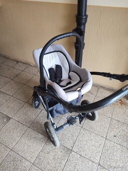Camarelo malaga - 5