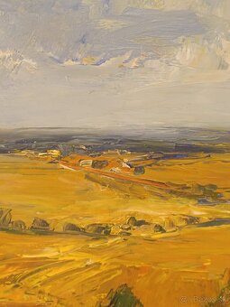 Obraz, Zlatá pole, olejomalba 48x58cm - 5