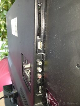 Tv Orava 80cm - 5