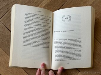 Živé svetlo - historický tomán o sv. Hildegarde z Birgenu - 5