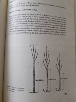 Predám - 5