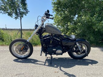 Predam Harley Davidson Sportster - 5