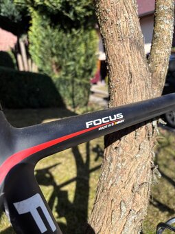 Focus Cayo - 5