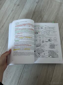 Skriptá -prehľad histológie - 5