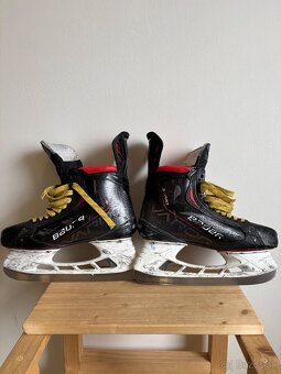 korcule bauer 3X pro, velk 8, 27cm - 5