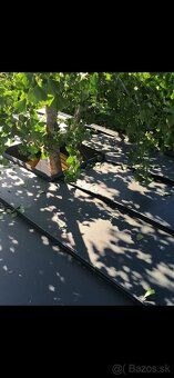 Strechy, klampiarstvo - 5