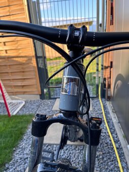 Martin Bolinas Ridge1 M 29” - 5