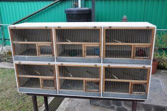 klietky pre vtákov - 5