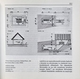 Ema Drábiková - Človek vo vinici - 5