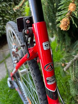 Dievcensky bicykel author - 5