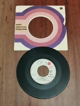 SP platne Marcela Laiferová - 5