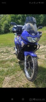Honda Transalp 650 xl - 5